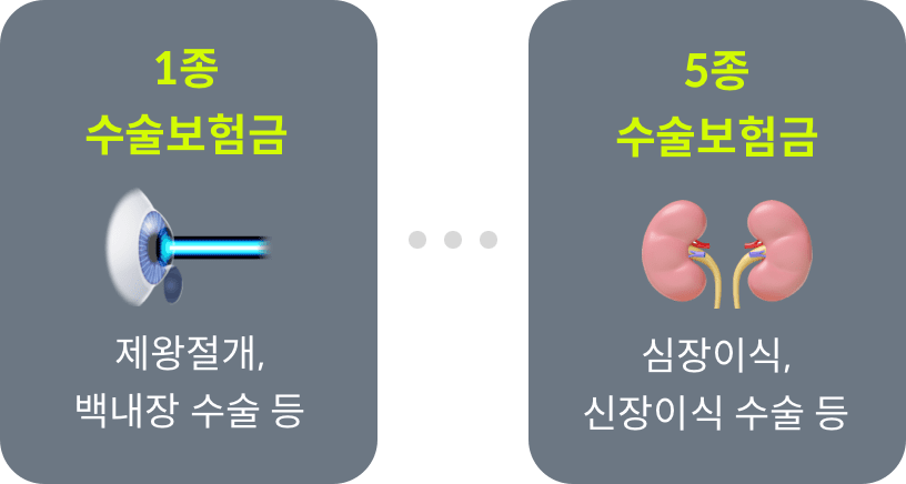 1종 수술보험금 제왕절개, 백내장 수술 등, 5종 수술보험금 심장이식, 신장이식 수술 등