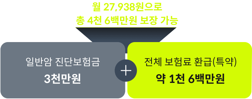 월 27,938원으로 총 4천 6백만원 보장가능,  일반암 진단보험금 3천만원 + 전체 보험료 환급 (특약) 약 1천 6백만원