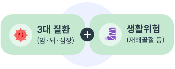 3대 질환 (암·뇌·심장) + 생활위험 (재해골절 등)